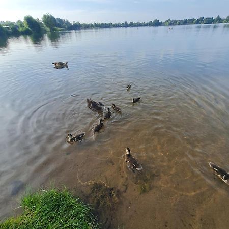 Ferienhaus Am See-2 Hungen Екстериор снимка