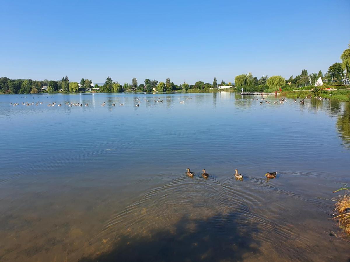 Ferienhaus Am See-2 Hungen Екстериор снимка