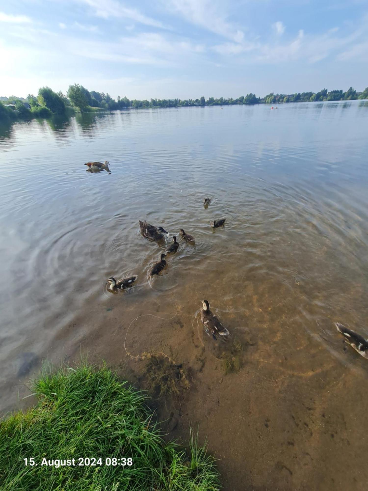 Ferienhaus Am See-2 Hungen Екстериор снимка