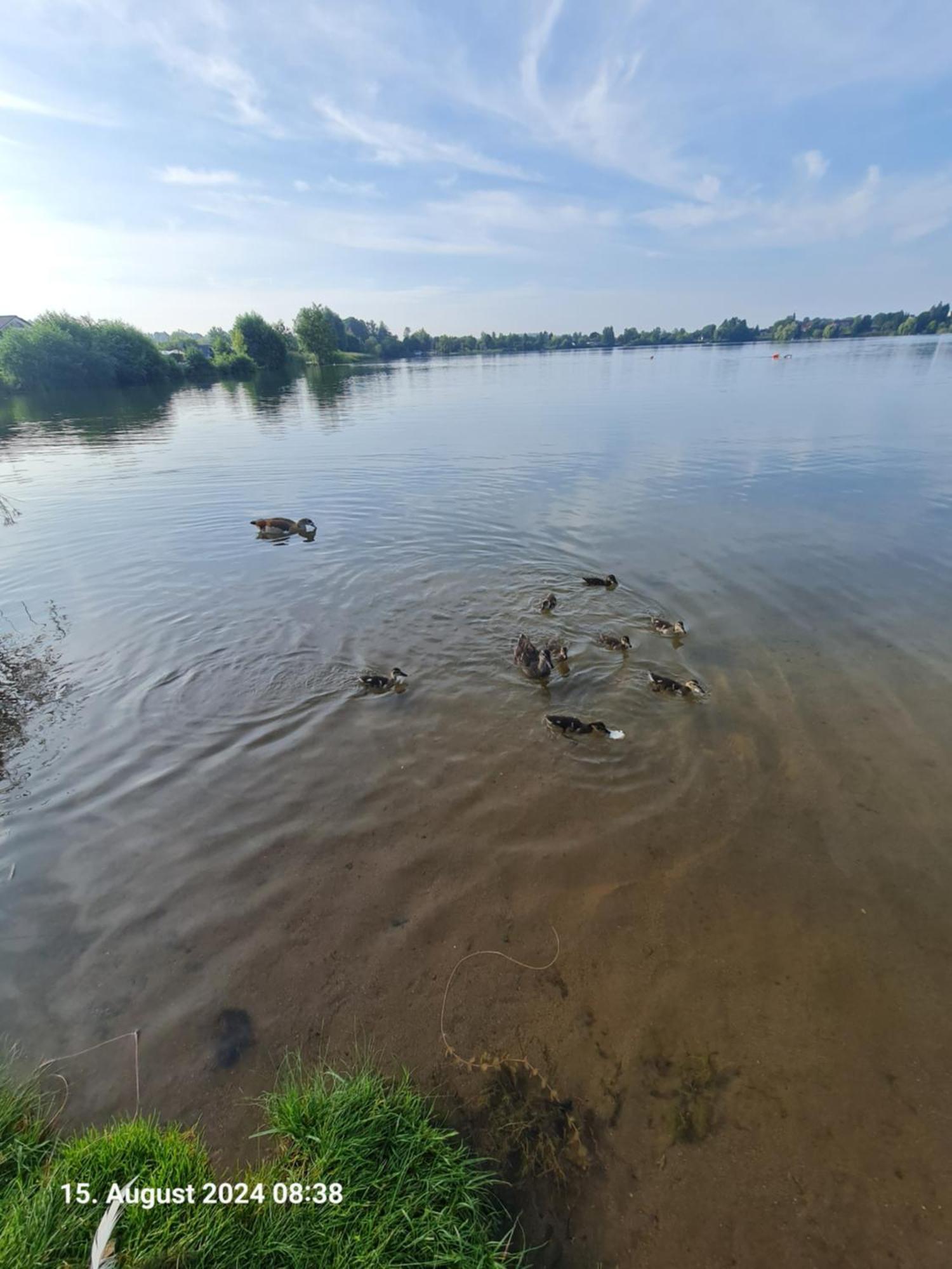 Ferienhaus Am See-2 Hungen Екстериор снимка