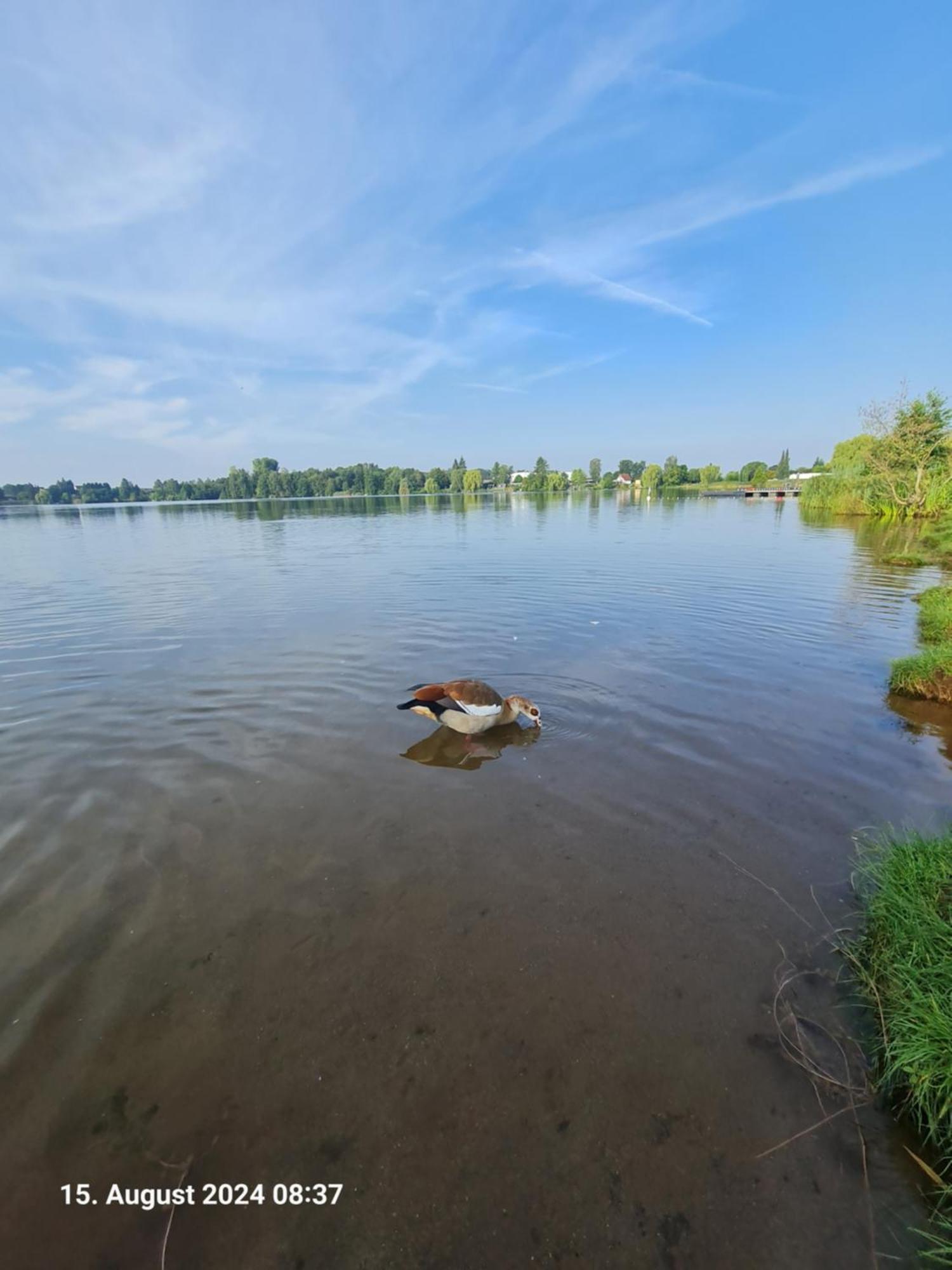 Ferienhaus Am See-2 Hungen Екстериор снимка